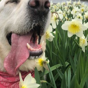 Meet your Posher, Holly johnson